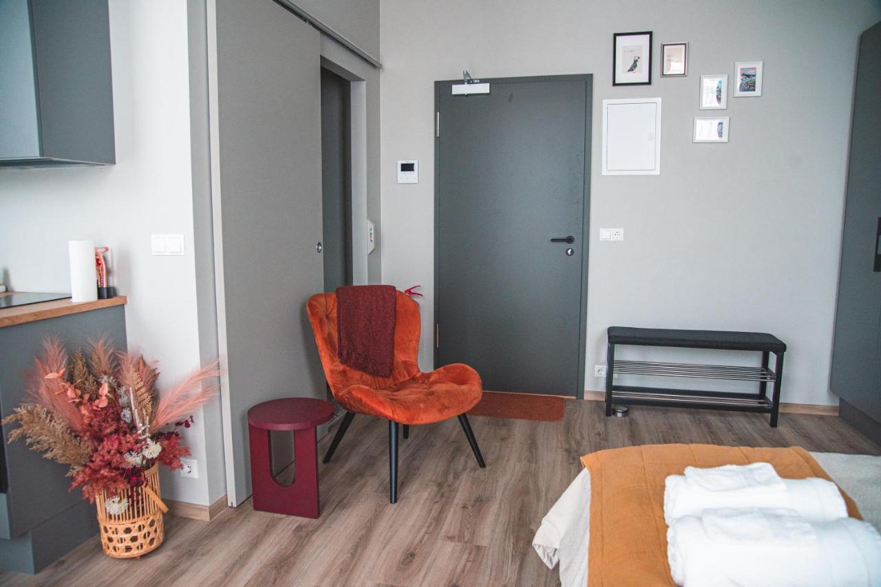 Cozy Studio By The City Centre Apartment Reykjavík Exterior foto