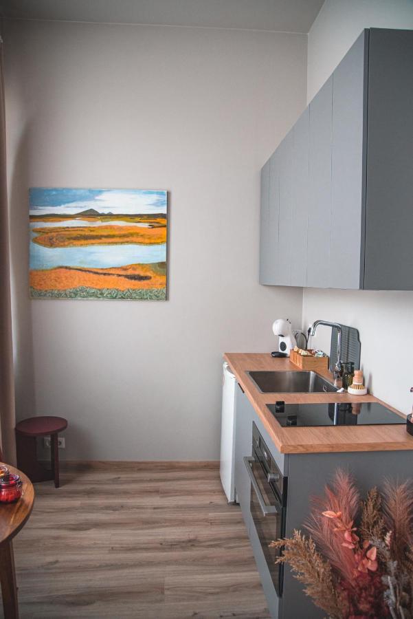 Cozy Studio By The City Centre Apartment Reykjavík Exterior foto