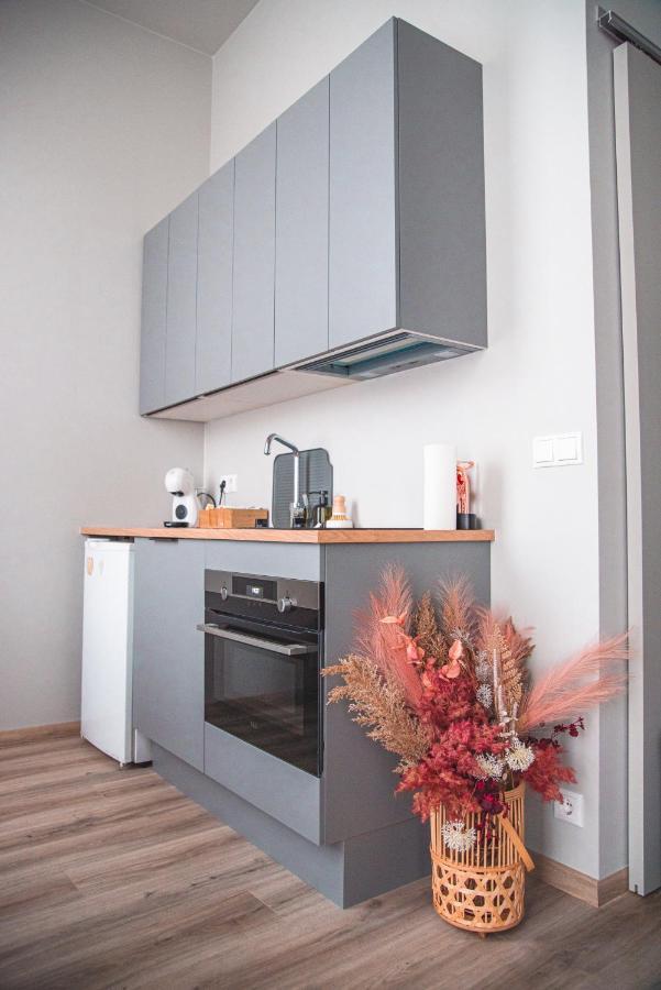 Cozy Studio By The City Centre Apartment Reykjavík Exterior foto
